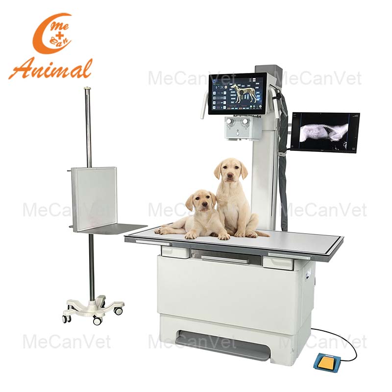Dual Screen Dynamic X-ray Machine
